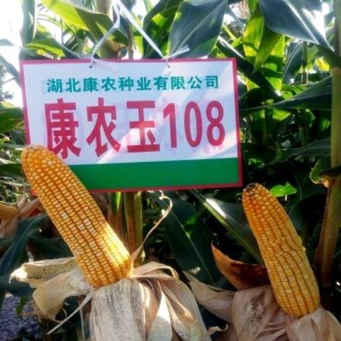 85271a54-1a5a-4d13-8e5e-7a85e56f0162_l