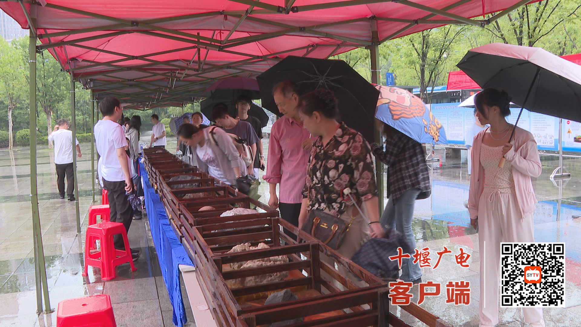 微信图片_20250625150354