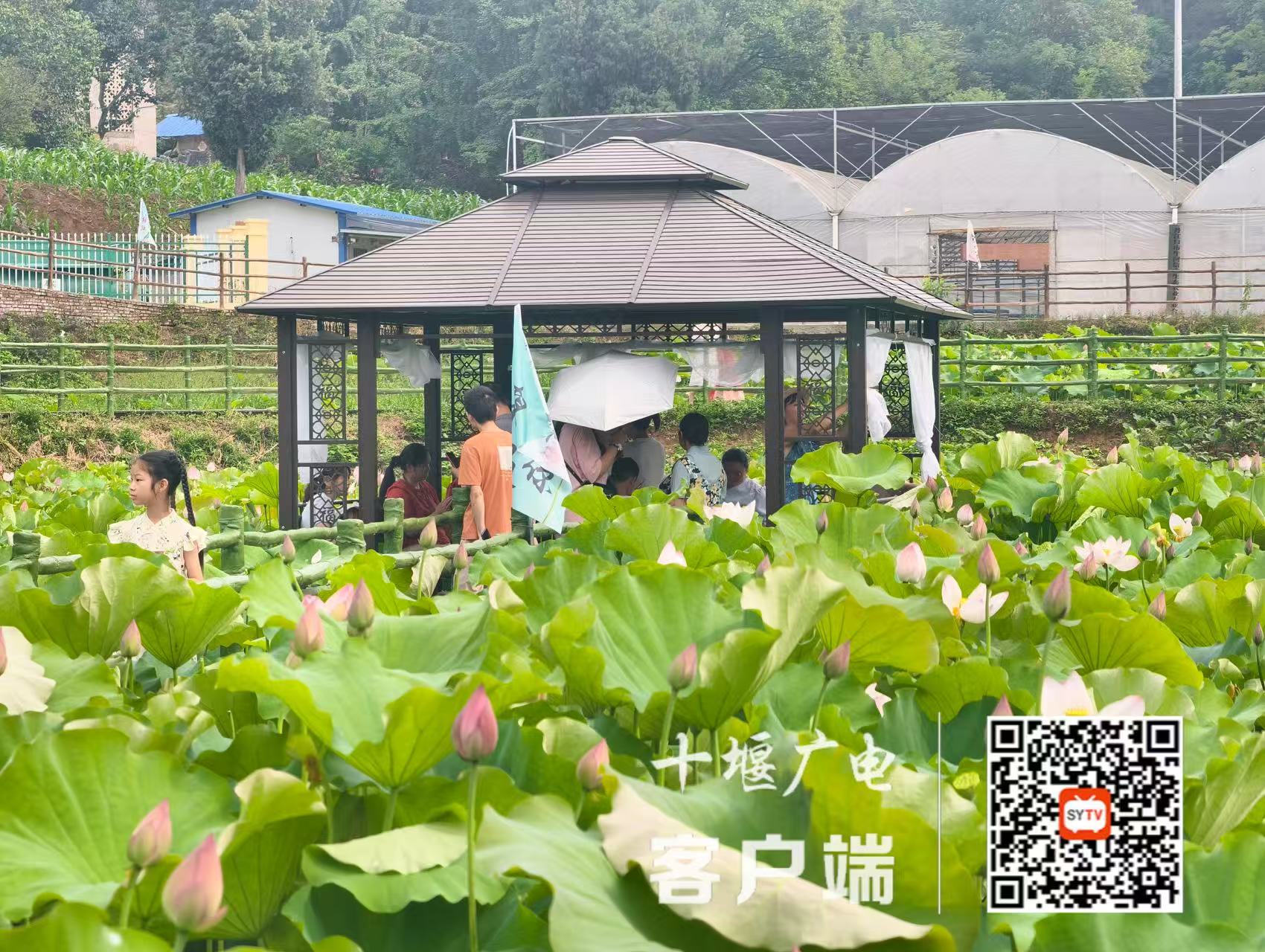 微信图片_20250625205358
