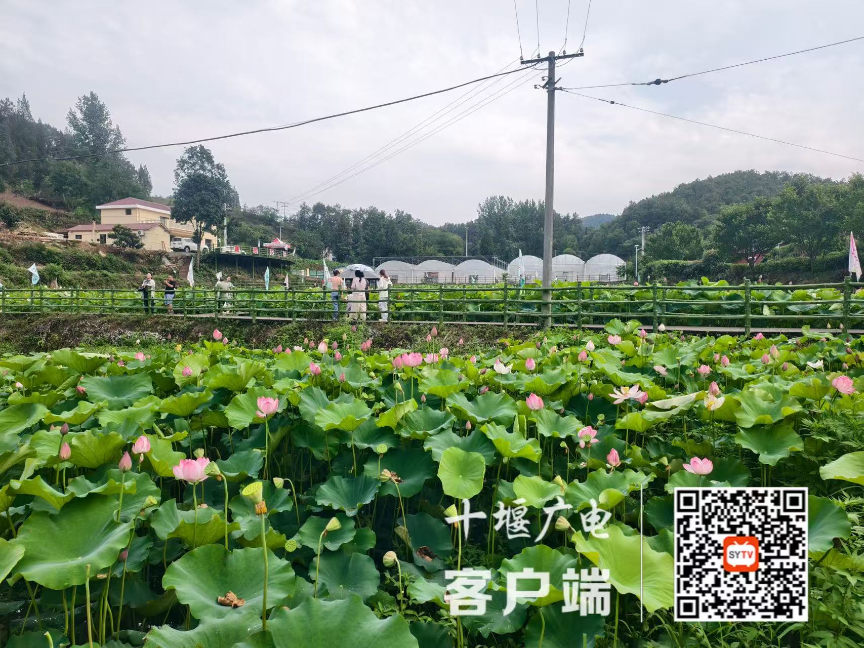 微信图片_20250625205317