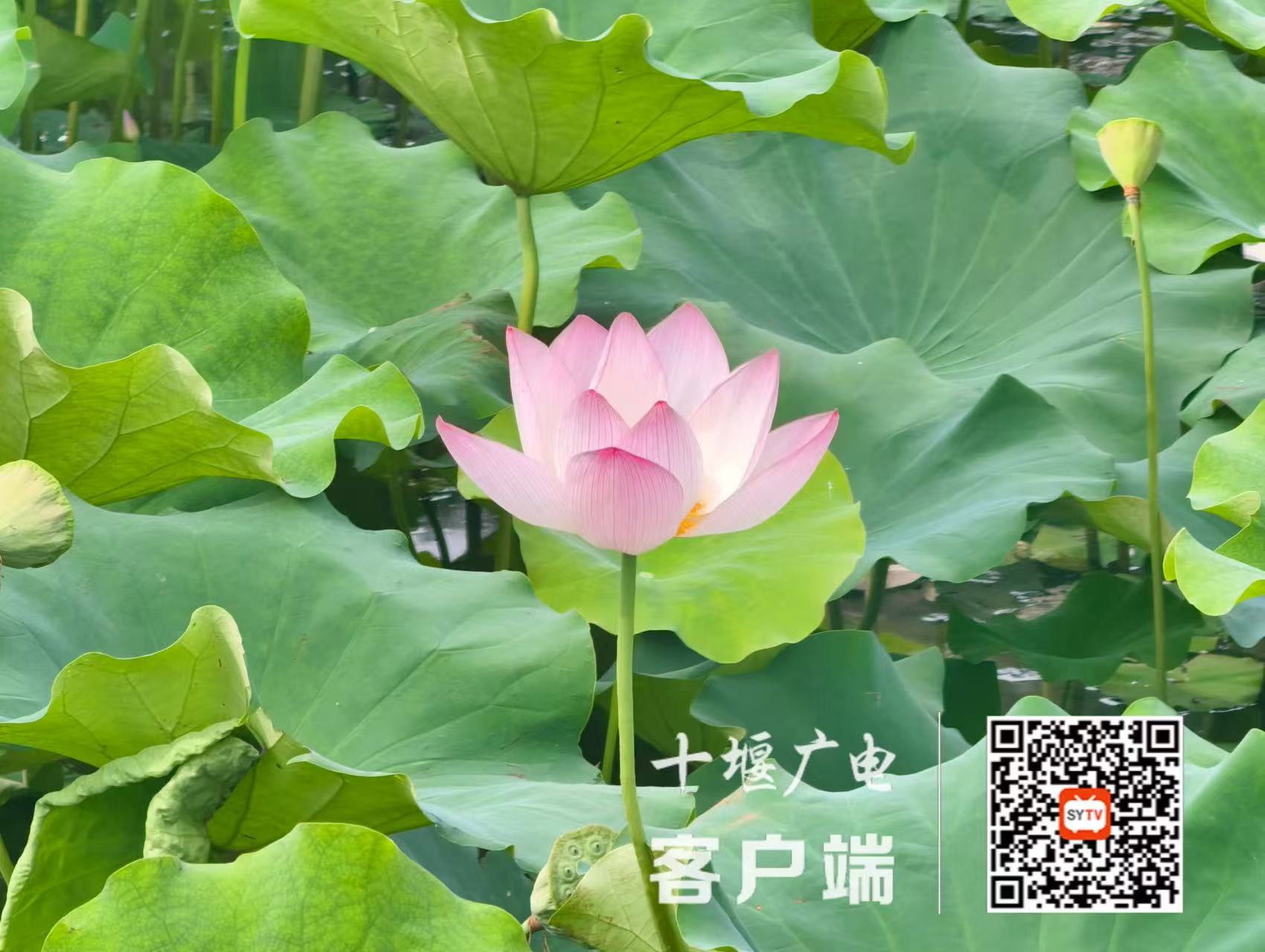 微信图片_20250625205333