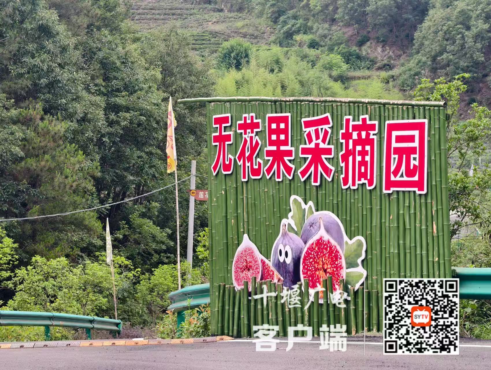 微信图片_20250625205403