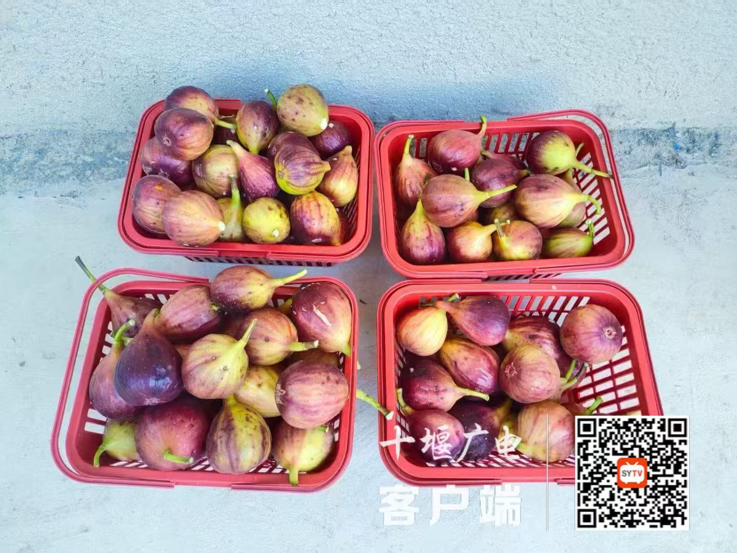 微信图片_20250625205255