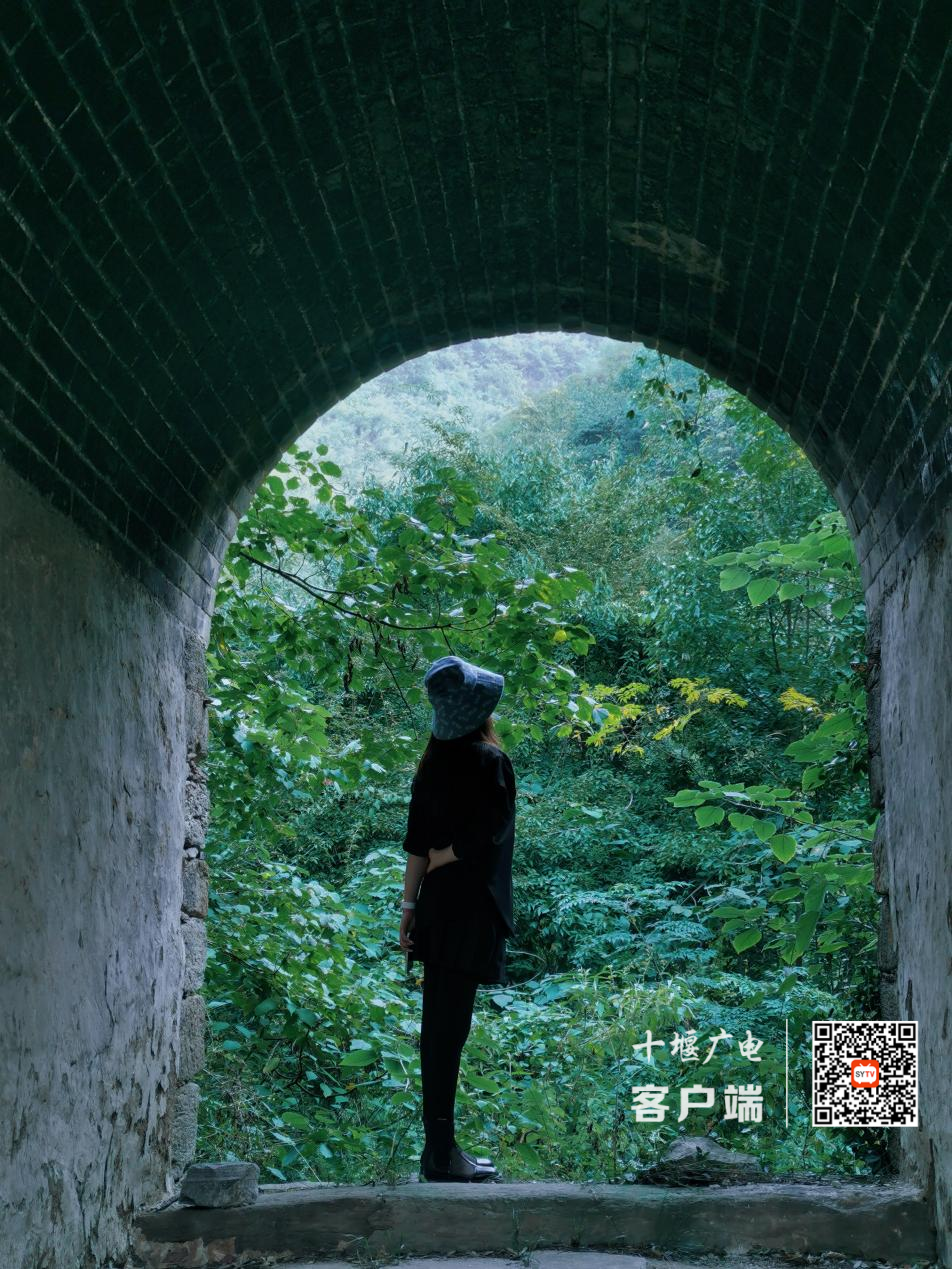 图片 9