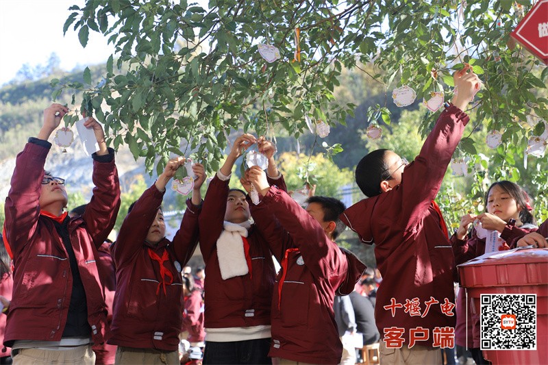 微信图片_20250627084837_副本