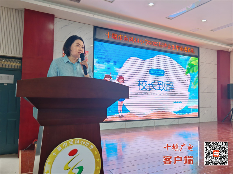 微信图片_20250627153142_副本