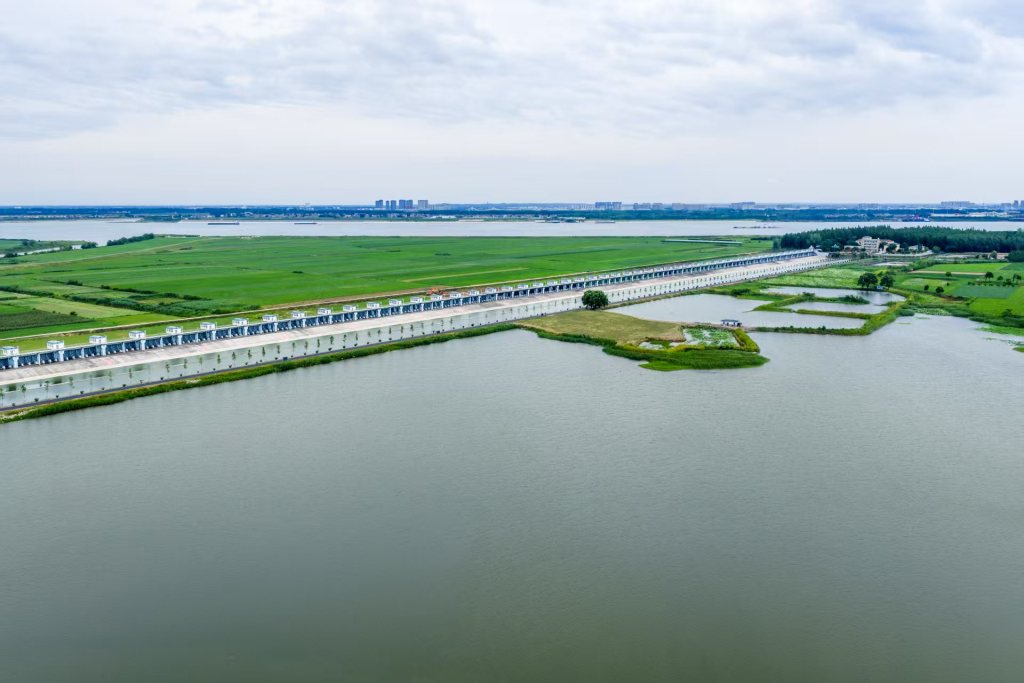 resize,w_1024 (6)