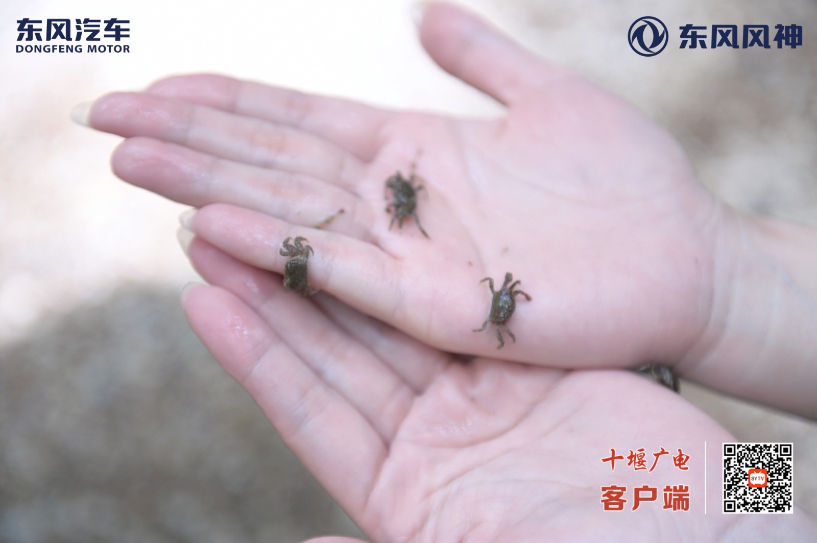微信图片_20250629090510