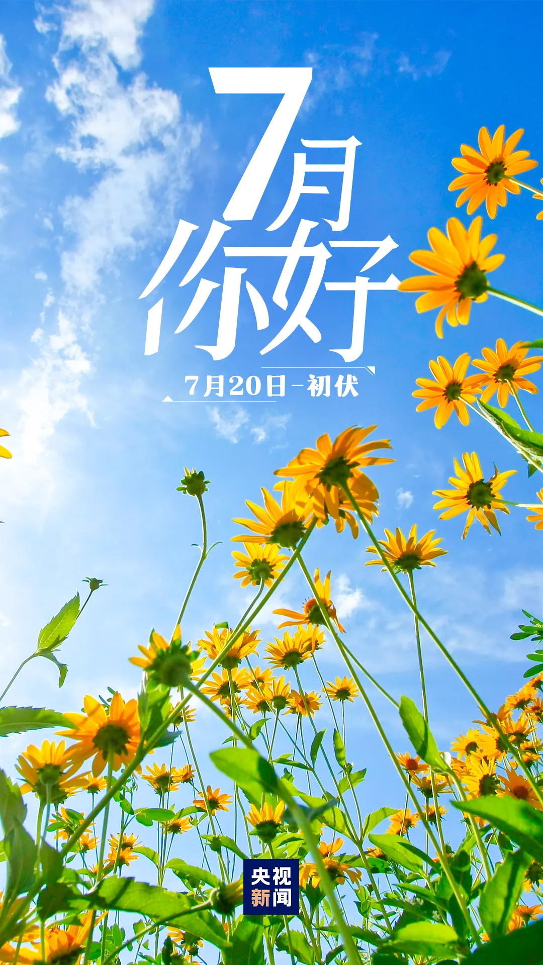 640_wx_fmt=png&from=appmsg&tp=webp&wxfrom=5&wx_lazy=1 (8)