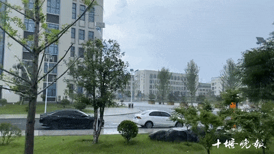 640_wx_fmt=gif&from=appmsg&tp=webp&wxfrom=5&wx_lazy=1 (1)