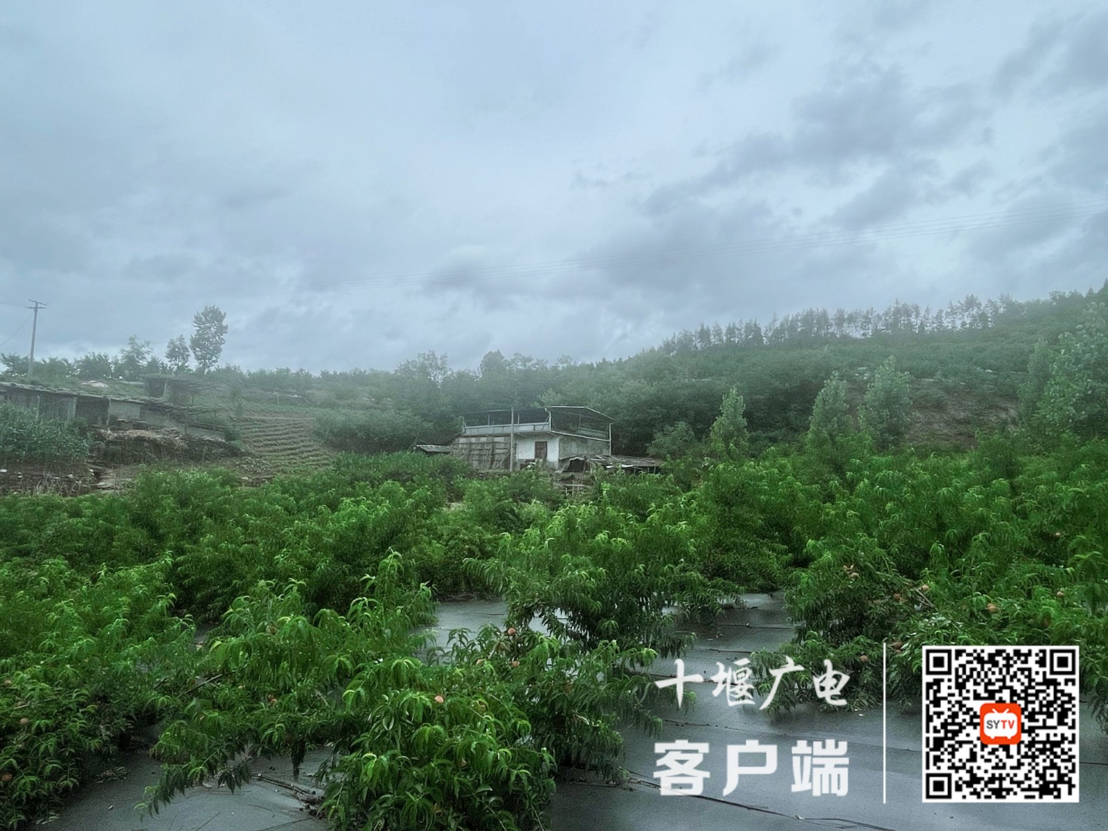 微信图片_3