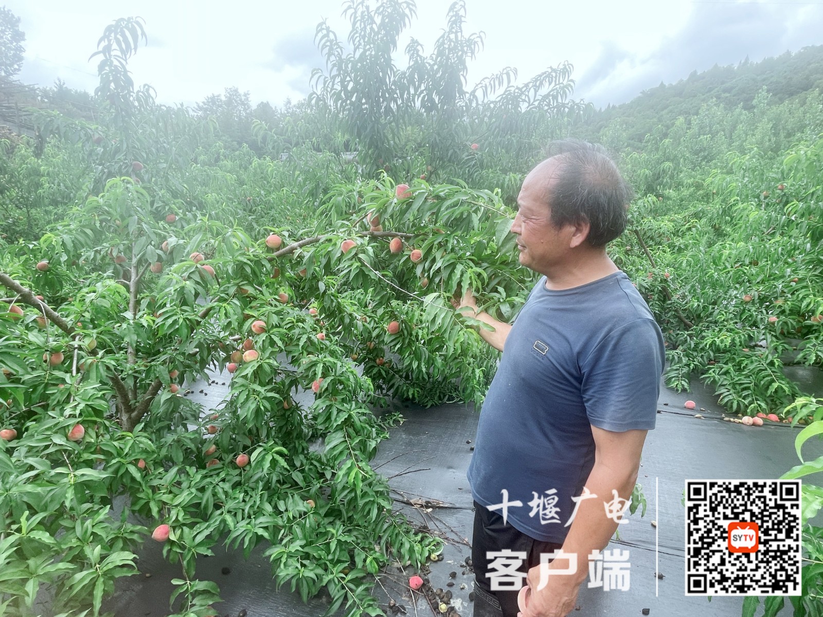 微信图片_4
