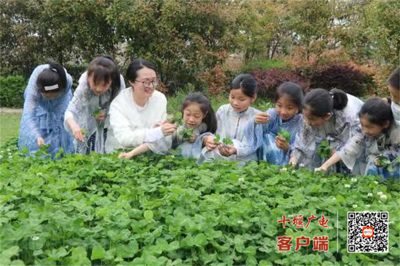 微信图片_20250704151517_副本