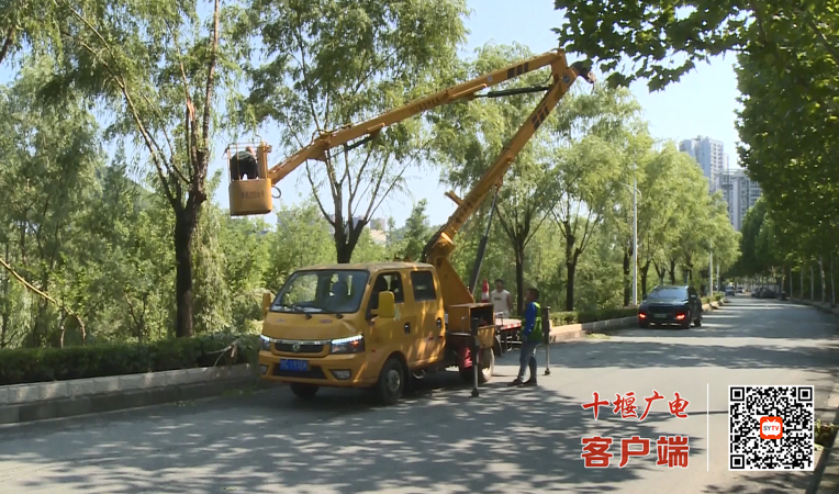 QQ_1751885759969