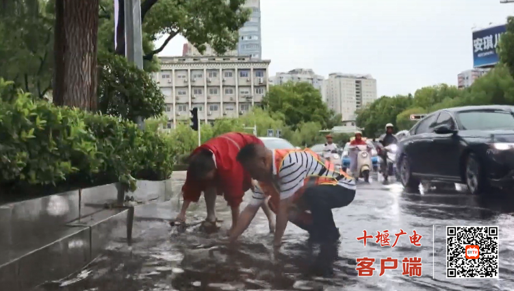 QQ_1751886178650
