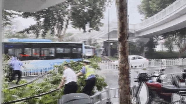 应对雷暴大风天气十堰交警紧急清障保畅通2025771916253