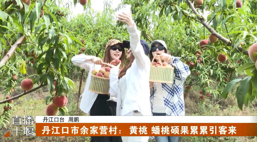 QQ_1751887445544