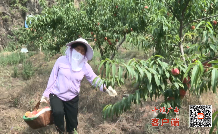 QQ_1751887948354