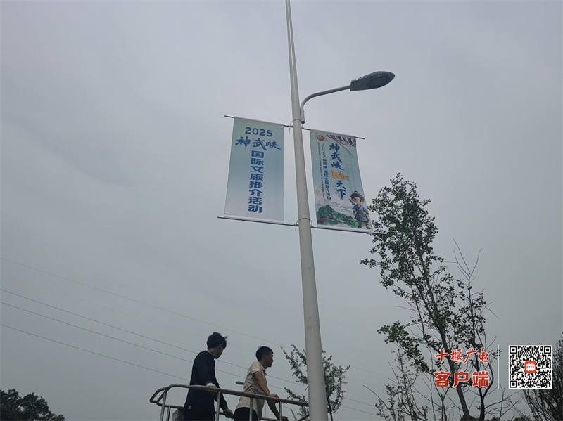 图片 4