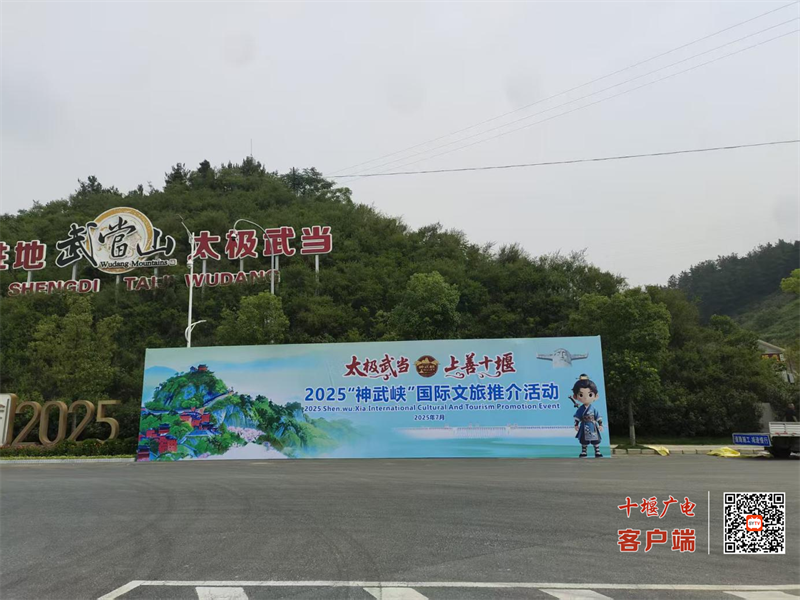 图片 5