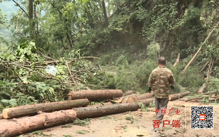 微信图片_20250708185756