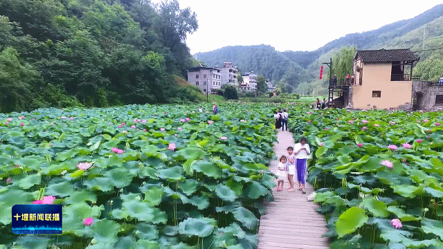 “湖北旅游 武当突破”  十堰全力谱写文旅融合新篇章20257101958283