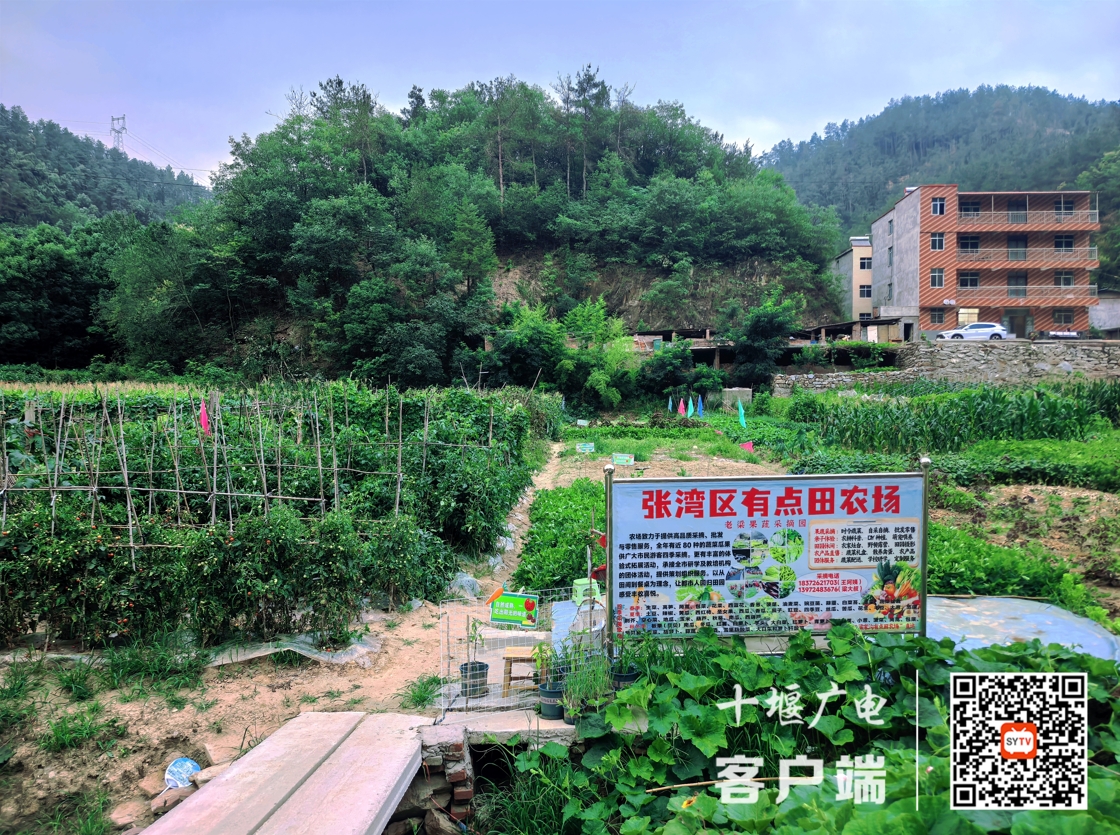 图片2