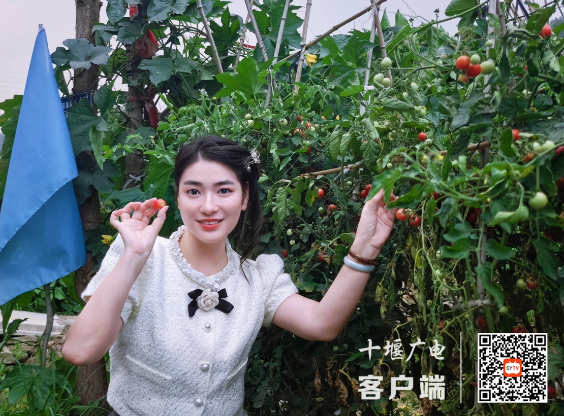 图片3