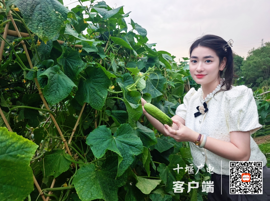图片7