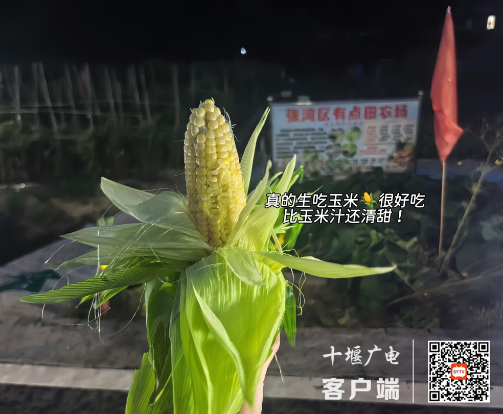 图片6