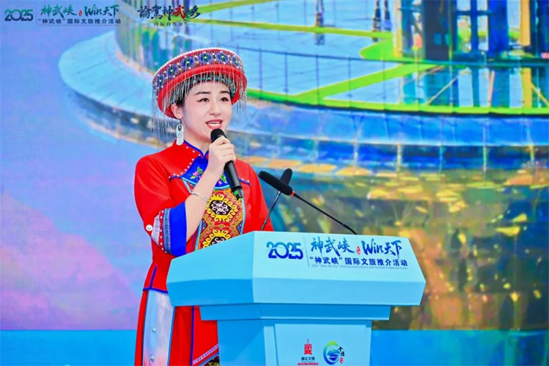 图片 15