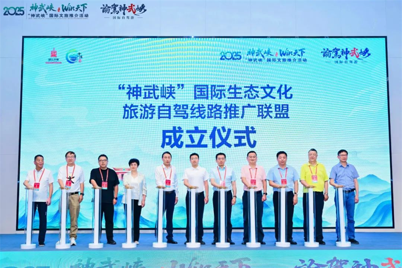 图片 19