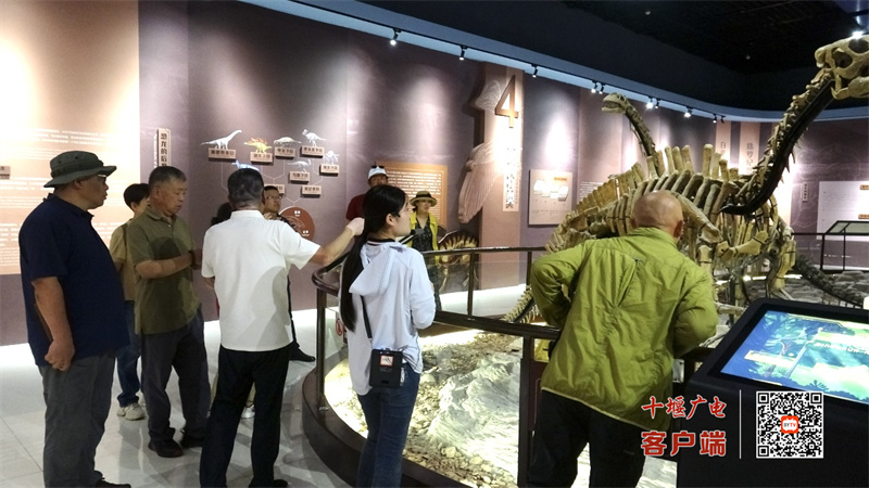 微信图片_20250713105637