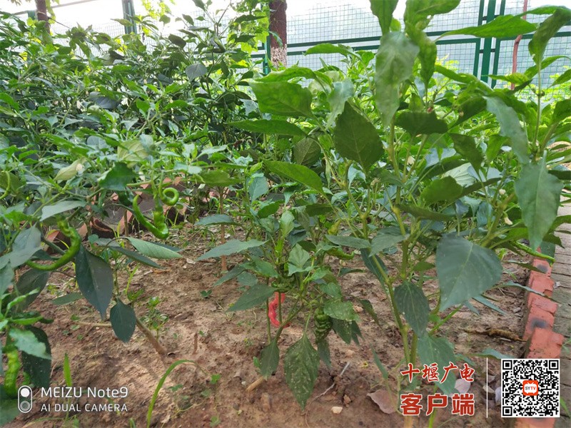 D371890E45FD1846CDF108A6FB003258_副本