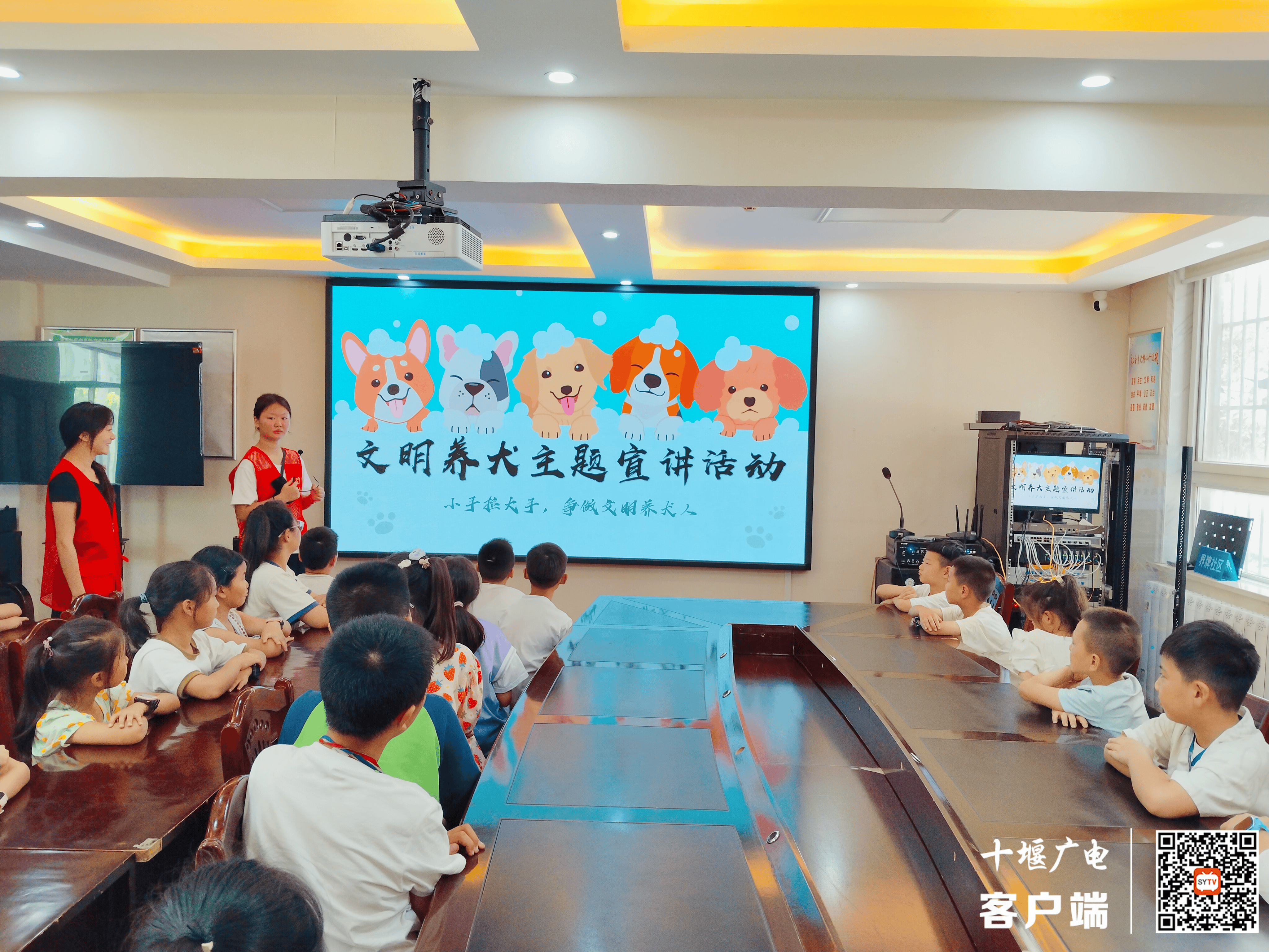 图片6