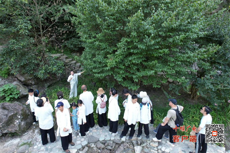 图片4