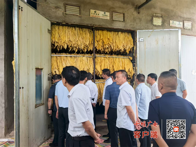 竹山县烟草局刘祖成一行到冯家坡村和白马沟村交流学习烟田管理和烟叶烘烤经验