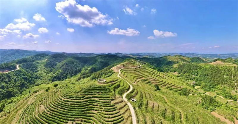 微信图片_20250716165705