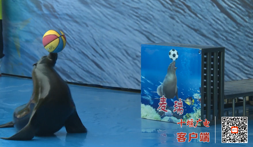 QQ_1752816750968