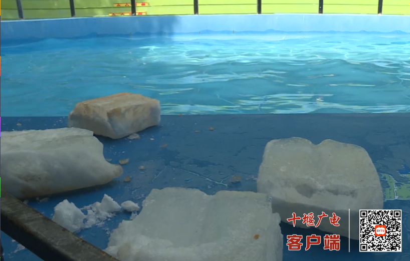QQ_1752816614316