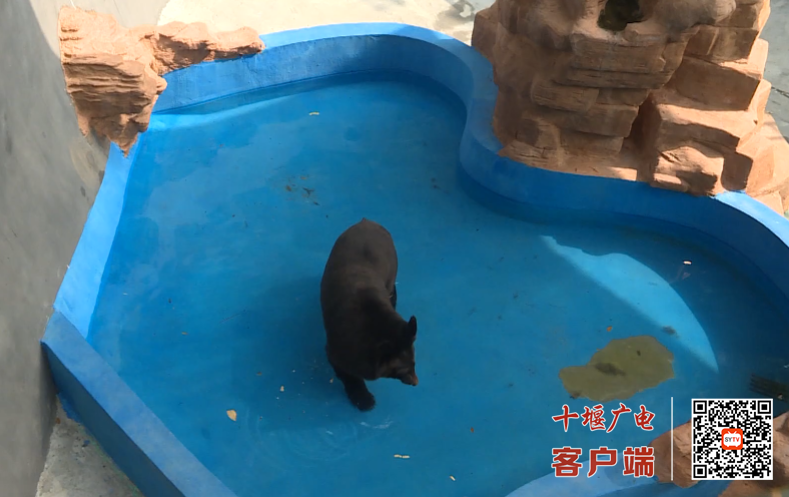 QQ_1752817498350