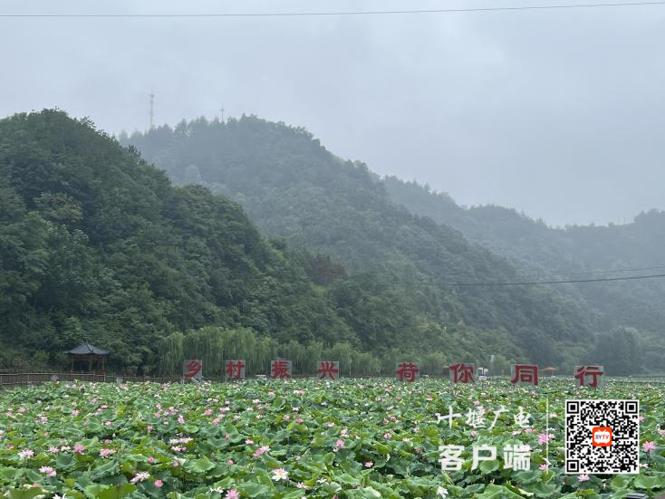 图片 1