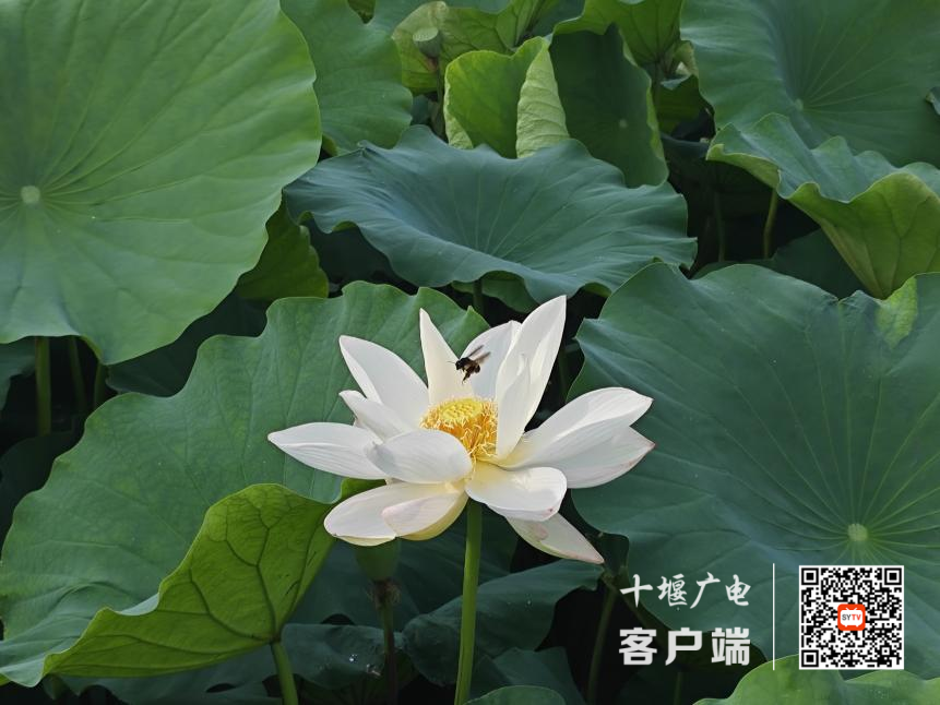 图片 4