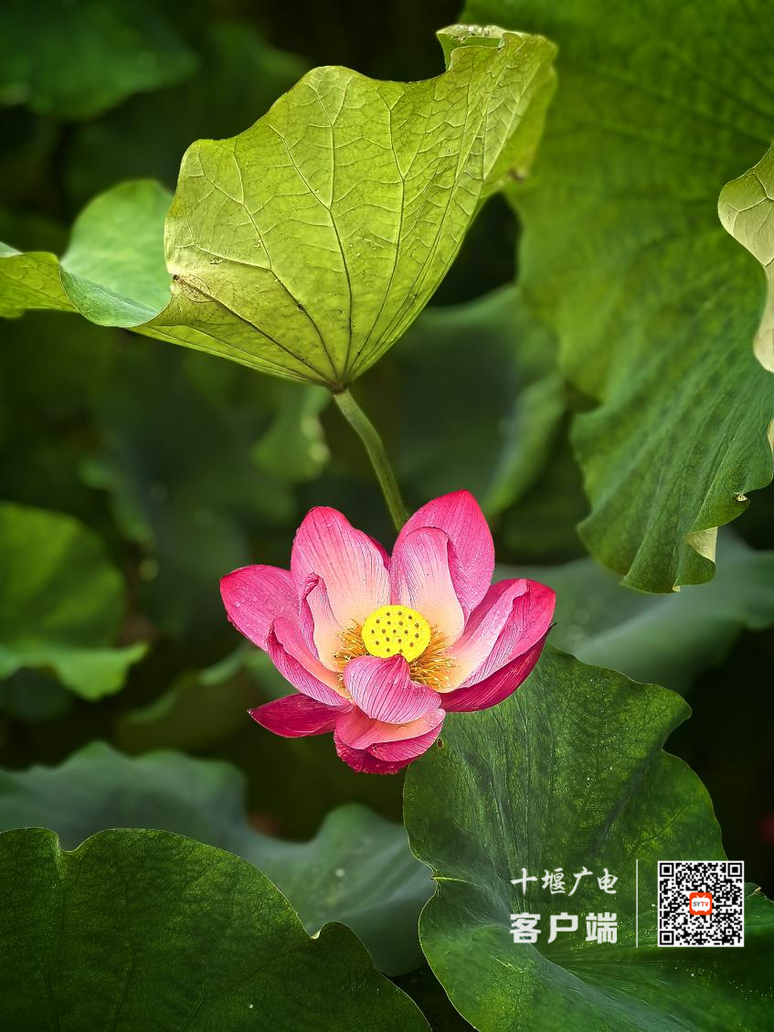 图片 3