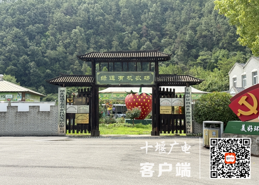 微信截图_20250722152506