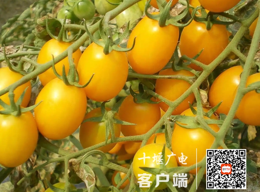 微信截图_20250722152520