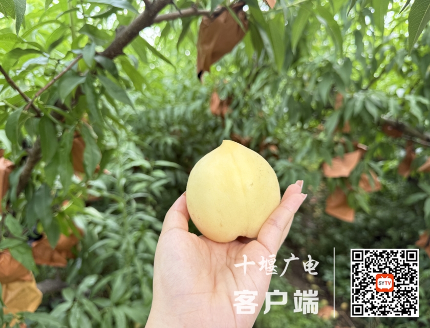 微信截图_20250722152542