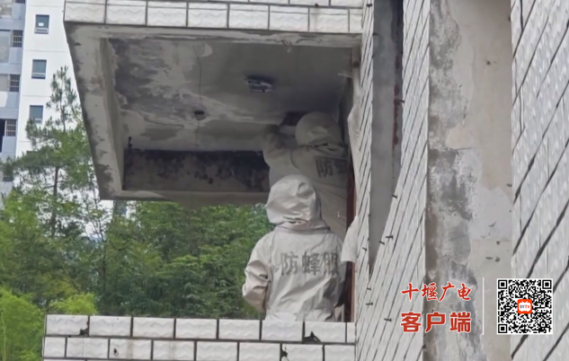 微信图片_20250724174825