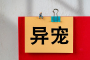 超1700万人养“异宠” 这些隐患可能比你想的更可怕