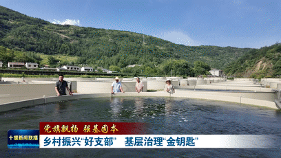 乡村振兴“好支部” 基层治理“金钥匙”[00-00-27--00-00-35]